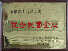 山東民營優秀企業